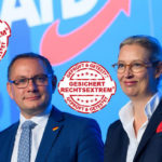 Sollten der möglichen Einstufung der AfD als "Gesichert rechtsextrem®" mit Humor und Nonchalance entgegnen - Parteichefs Tino Chrupalla und Alice Weidel.