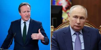 Präsident Putin hat mit Attacken auf britische Militärziele in der Ukraine "und darüber hinaus" gedroht, falls die Ukraine - wie von David Cameron angekündigt - Russland mit britischen Waffen angreife.
