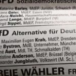 Es dürfte ohne Beispiel in der deutschen Politikgeschichte nach 1945 sein, dass den beiden AfD-Spitzenkandidaten für die EU-Wahl von der eigenen Parteiführung faktisch ein Auftritts- und Aktionsverbot erteilt wurde.