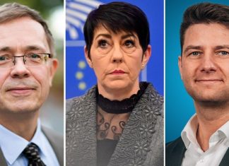 Welche Rolle spielten Prof. Hans Neuhoff (l.), Christine Anderson und René Aust beim Plan, Maximilian Krah einen Tag nach der EU-Wahl aus der AfD-Delegation zu schmeißen?