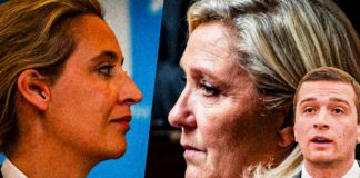 Auch die Distanzierung von Marine Le Pen und Jordan Bardella zu Alice Weidels AfD hat dem Rassemblement National (RN) letztendlich nichts gebracht.