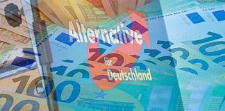 Die AfD-Verbotsantragssteller bezwecken wahrscheinlich nicht wirklich ein Parteiverbot, sondern den Ausschluss der blauen Partei aus der staatlichen Teilfinanzierung der Parteien.