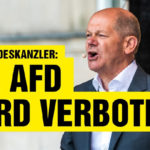 Das AfD-Verbotsverfahren rückt näher. Die Antragsbegründung ist jetzt online abrufbar – und lässt Zweifel an der politischen Zurechnungsfähigkeit ihrer Verfasser aufkommen.