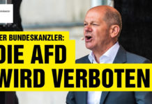 Das AfD-Verbotsverfahren rückt näher. Die Antragsbegründung ist jetzt online abrufbar – und lässt Zweifel an der politischen Zurechnungsfähigkeit ihrer Verfasser aufkommen.