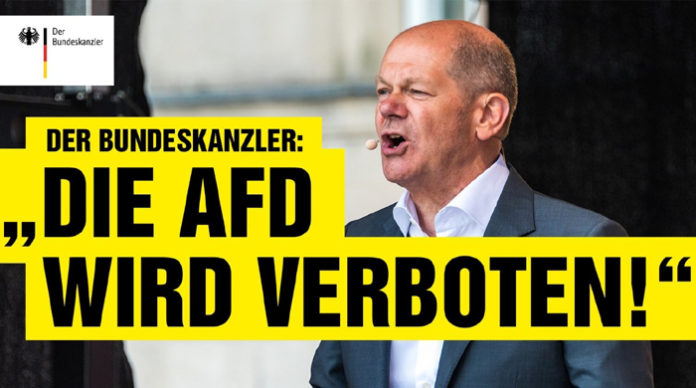 Das AfD-Verbotsverfahren rückt näher. Die Antragsbegründung ist jetzt online abrufbar – und lässt Zweifel an der politischen Zurechnungsfähigkeit ihrer Verfasser aufkommen.