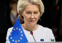 Ursula von der Leyen will als Kommisionspräsidentin die totale Macht über die Bankkonten bzw. die Fördertöpfe.