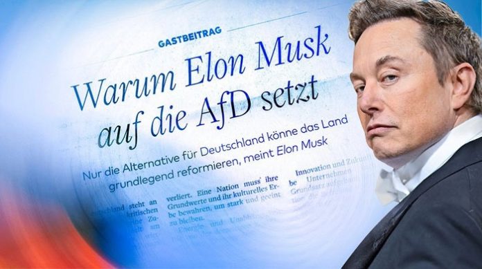 Musk hat, was die deutsche 