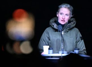 AfD-Kanzlerkandidatin Alice Weidel bei ihrer Rede vor tausenden Demonstranten am 23. Dezember in Magdeburg.