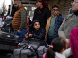 Wie viele in Hamburg lebende Syrer erwägen nach dem Sturz von Assad eine Rückkehr in ihr Land? Ganze Sieben.