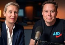 „Warte bis Alice und ich ein X-Spaces-Gespräch führen. Dann verlieren sie ihren Verstand“, schreibt Musk auf X.