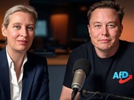 „Warte bis Alice und ich ein X-Spaces-Gespräch führen. Dann verlieren sie ihren Verstand“, schreibt Musk auf X.