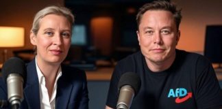 „Warte bis Alice und ich ein X-Spaces-Gespräch führen. Dann verlieren sie ihren Verstand“, schreibt Musk auf X.