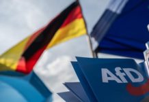 Die AfD muss sich ab dem 24. Februar 2025 darauf vorbereiten, die neue führende deutsche Regierungspartei zu werden. Dazu gibt es keine Alternative für die Alternative, so wenig wie es am Sonntag für die Stimmabgabe aller patriotischen Deutschen eine Alternative zur AfD gibt.