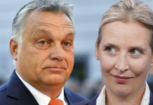 Die AfD-Chefin Alice Weidel will in der kommenden Woche nach Budapest reisen und sich mit dem ungarischen Regierungschef Viktor Orbán treffen.