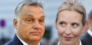 Die AfD-Chefin Alice Weidel will in der kommenden Woche nach Budapest reisen und sich mit dem ungarischen Regierungschef Viktor Orbán treffen.