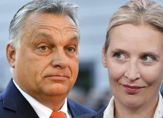 Die AfD-Chefin Alice Weidel will in der kommenden Woche nach Budapest reisen und sich mit dem ungarischen Regierungschef Viktor Orbán treffen.