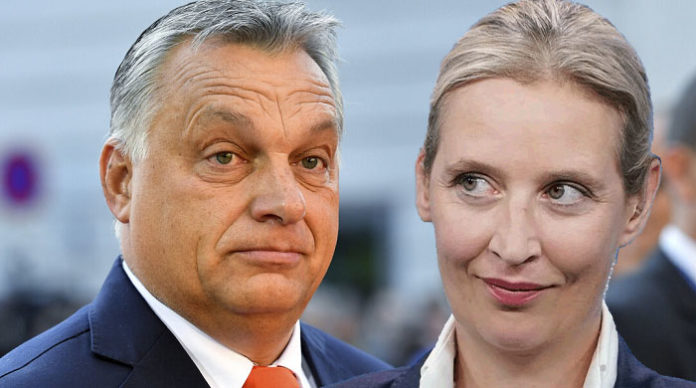 Die AfD-Chefin Alice Weidel will in der kommenden Woche nach Budapest reisen und sich mit dem ungarischen Regierungschef Viktor Orbán treffen.