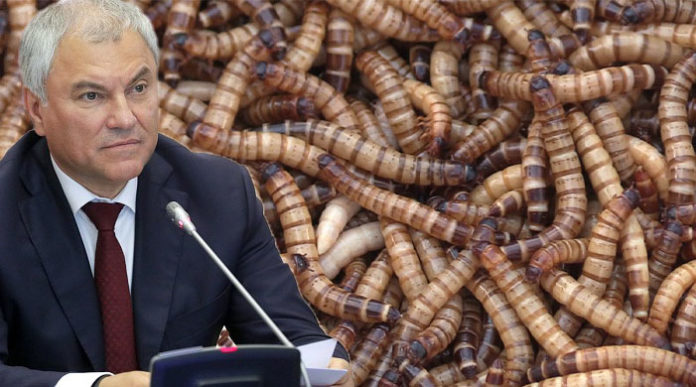 Der russische Parlamentspräsident Wjatscheslaw Wolodin hat das neue EU-Gesetz kritisiert, das die Verwendung von Insektenmehl in Lebensmitteln erlaubt.