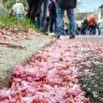 Weil die Kosten für die Terrorsicherung zu hoch sind, wurde die dritte Auflage des Hanami-Kirschblütenfests im Südviertel in Marburg abgesagt.