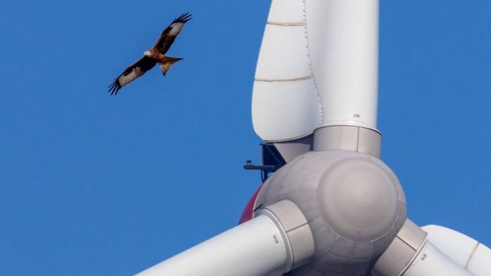 zerstören die Landschaft, trocknen Böden aus, töten Vögel und Insekten und verursachen gesundheitliche Störungen bei Menschen.