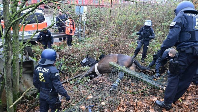 Beim Linksterror in Gießen ist ein Pferd der Bundespolizei eine Böschung am Bahnhof hinabgestürzt und verletzte sich dabei schwer.