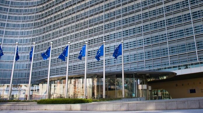 EU-weite Digitalgesetze verfolgen das Ziel, einen einheitlichen Rahmen für den digitalen Binnenmarkt zu schaffen.