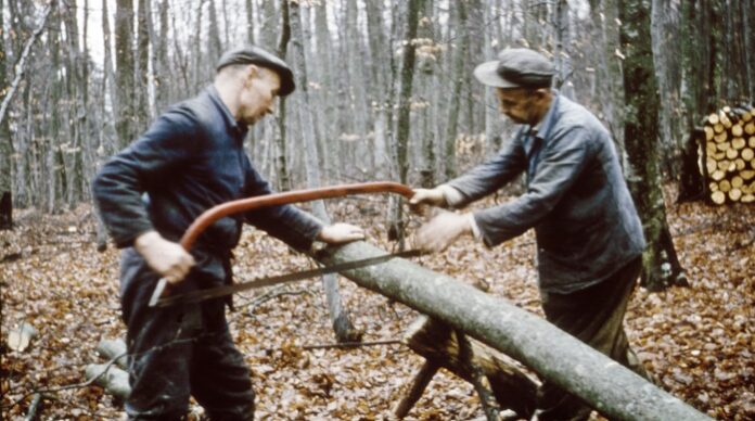 Holz vor der Hütte ist kein Schmuck, sondern Vorrat. Jeder Hausbesitzer wusste früher, wie viele Kubikmeter Holz nötig waren, um halbwegs sicher über den Winter zu kommen.