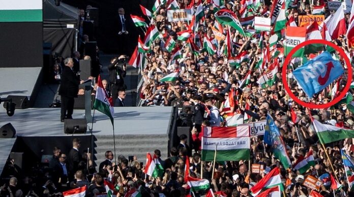 Sogar eine AfD-Fahne war bei Orbans Rede am Sonntag in Budapest an prominenter Stelle zu sehen.