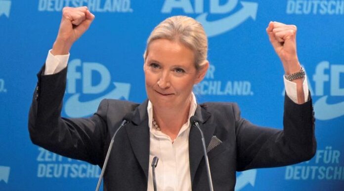 Bärenstark: Nur noch ein Prozent fehlt der AfD und Alice Weidel bis zur wichtigen 30-Prozent-Marke.