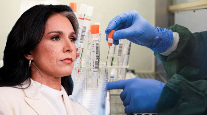 Die Direktorin des Nationalen Nachrichtendienstes, Tulsi Gabbard, untersucht mehr als 120 biologische Labore im Ausland, die jahrzehntelang mit US-Steuergeldern finanziert wurden.